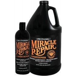 Miracle Repair hoitoaine